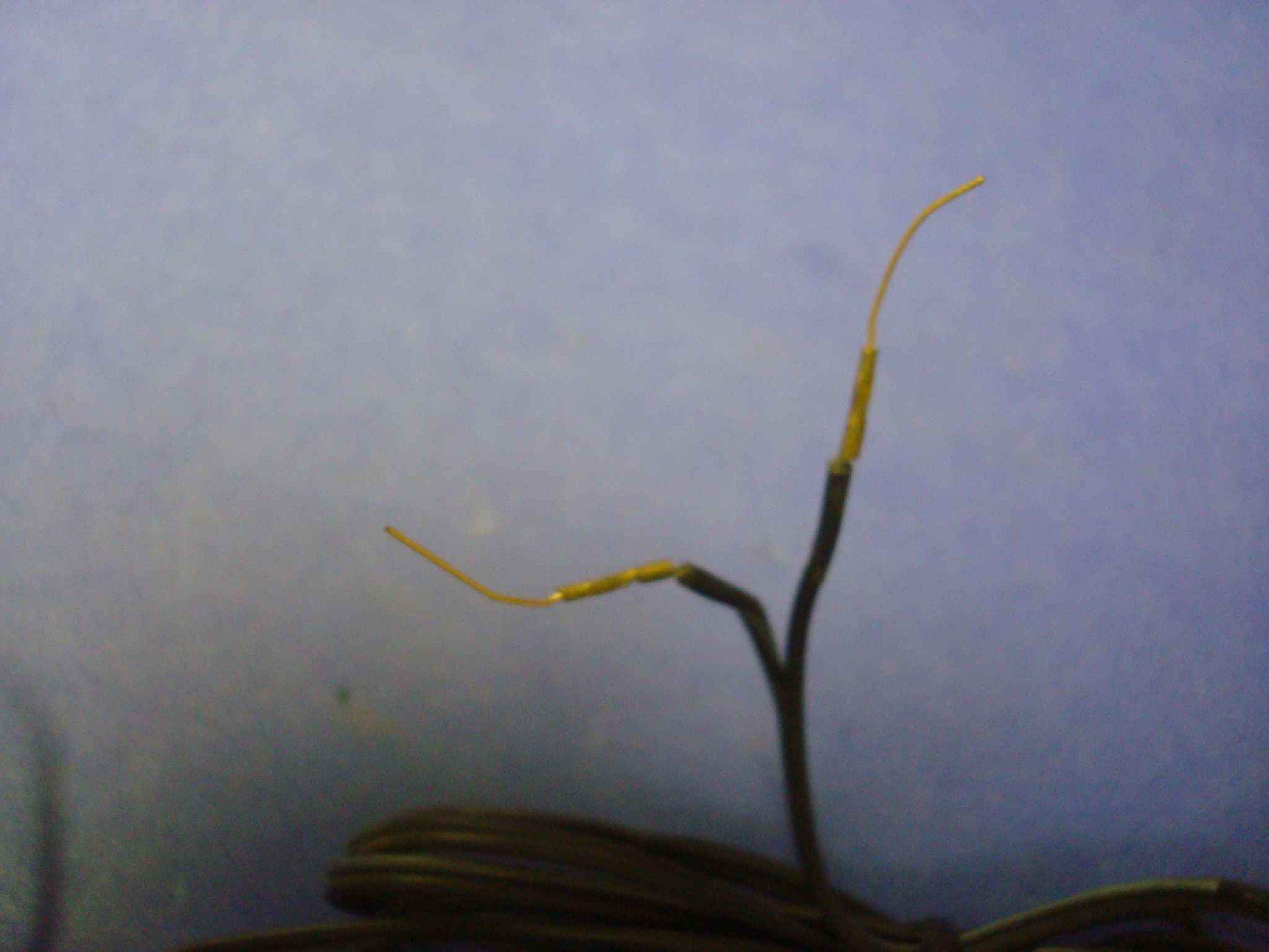 GENERIC A0346828 AC ADAPTER 6FT CABLE WITH CUT LEADS, WALL STYLE