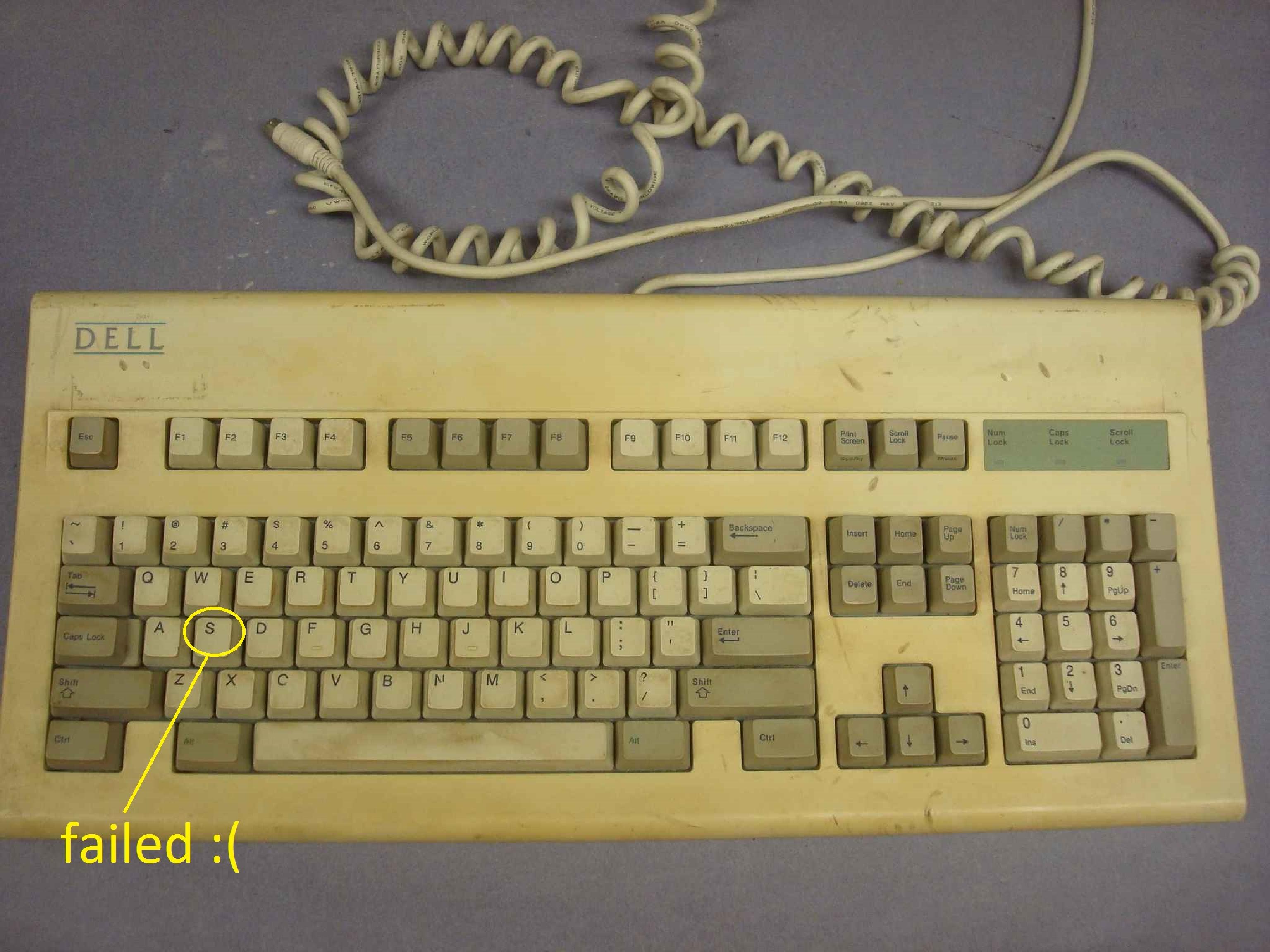 DELL GYUM97SK AT101 OLN LOGO PS/2 KEYBOARD AT101