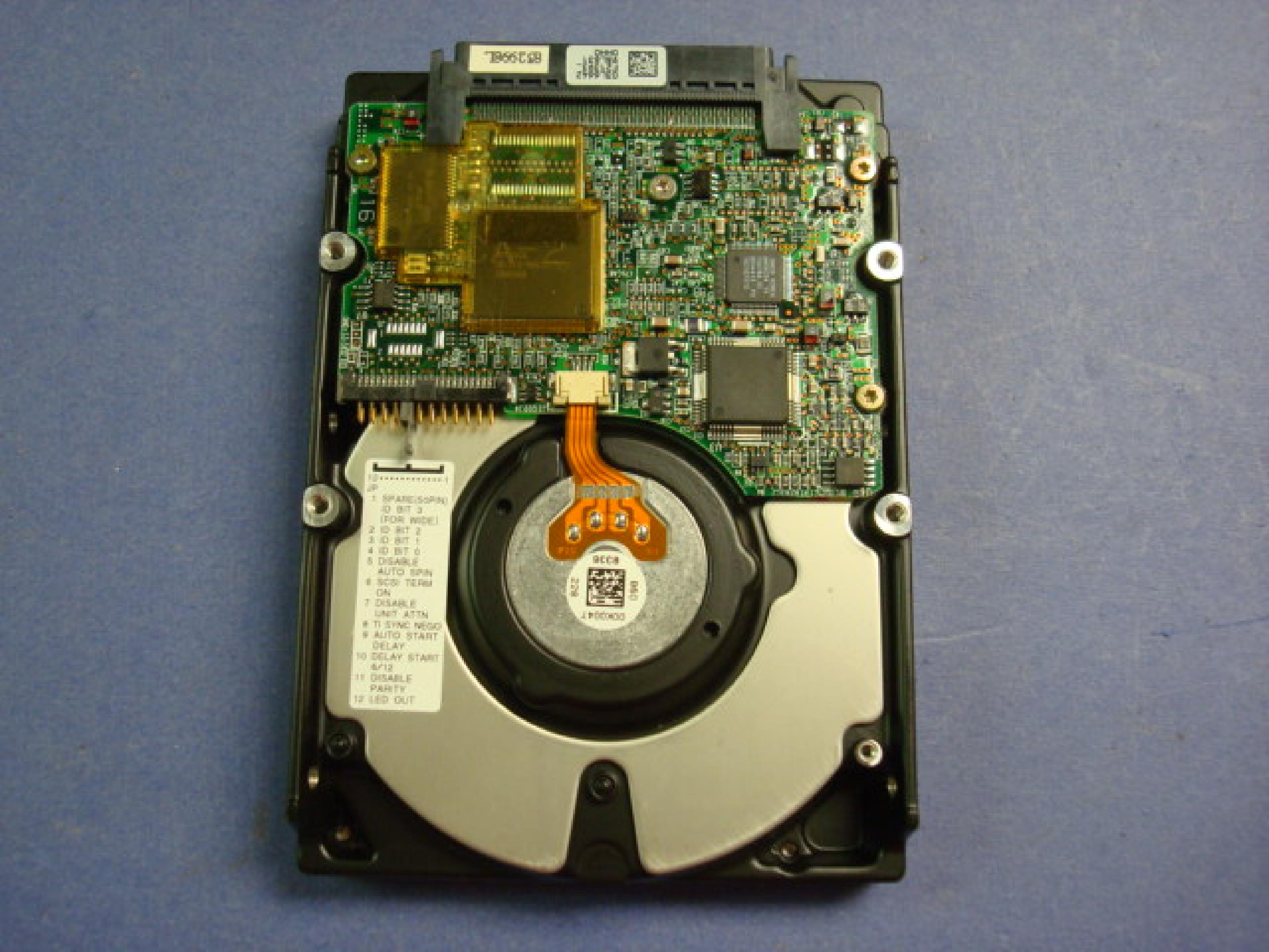 QUANTUM PX91J10F 9GB 80 PIN ULTRA SCSI DRIVE