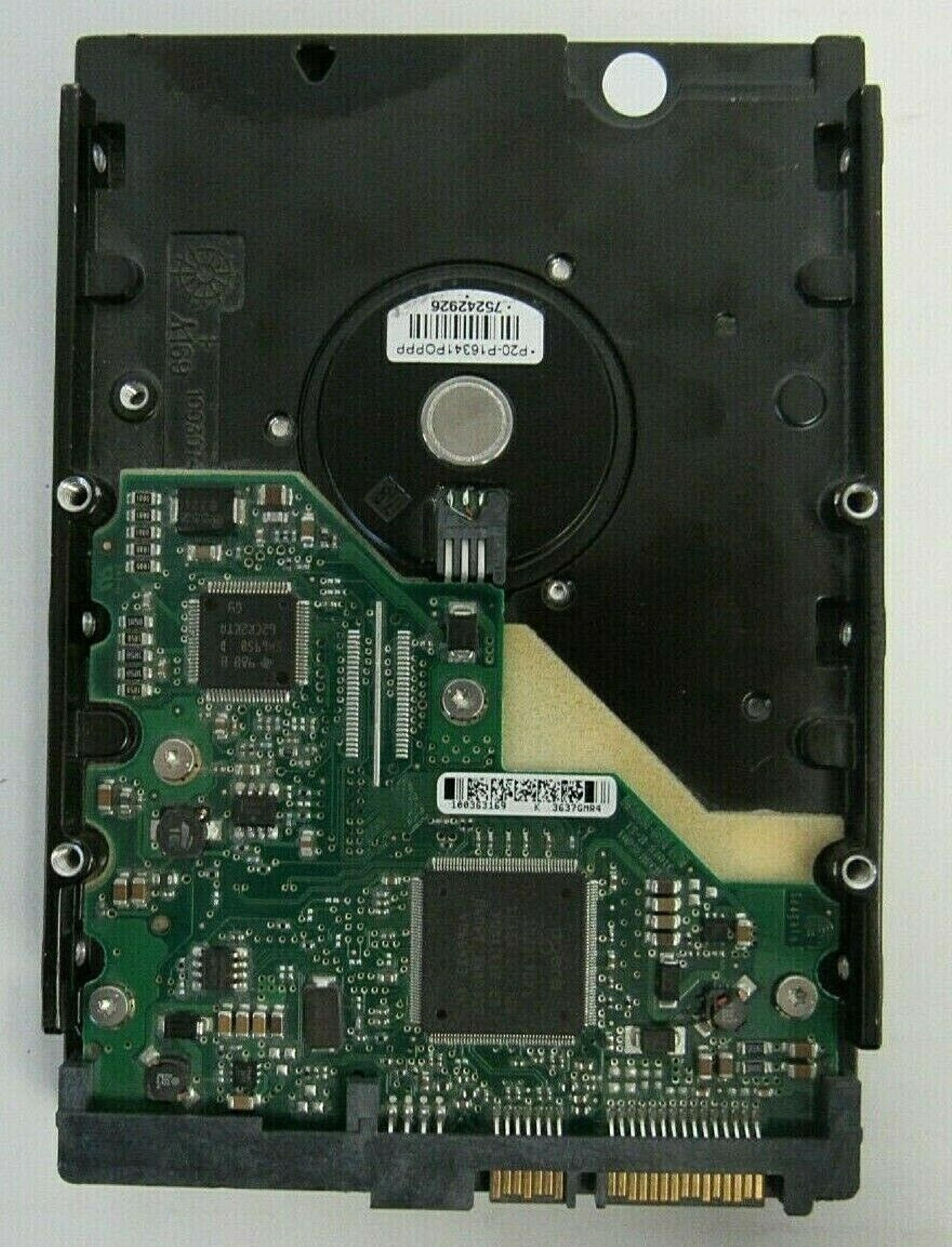 SEAGATE / WESTERN DIGITAL / WD 9W2732-133 80GB SATA HD CONFIG EXC-01 FIRMWARE 8.04 DATE 06313 SITE WU REV A01 BARRACUDA 06323 06303 06324 06302 06346