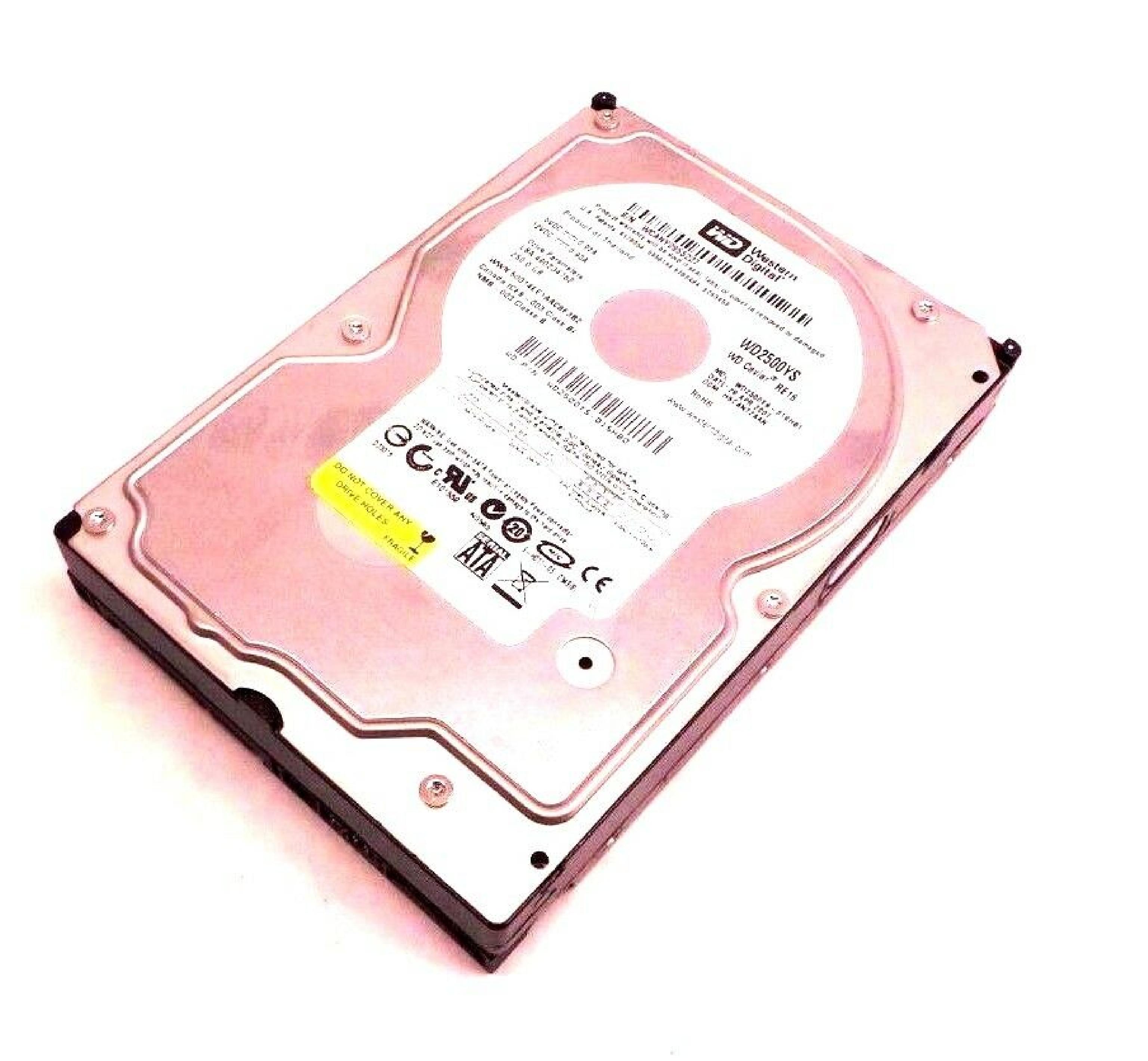 WESTERN DIGITAL / WD WD2500YS 250GB SATA DRIVE 02 MAY 2007 DCM: HSBHNTJAHN REV A00 LBA: 488281250